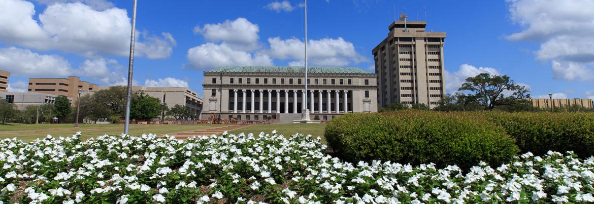 大学城地区信息